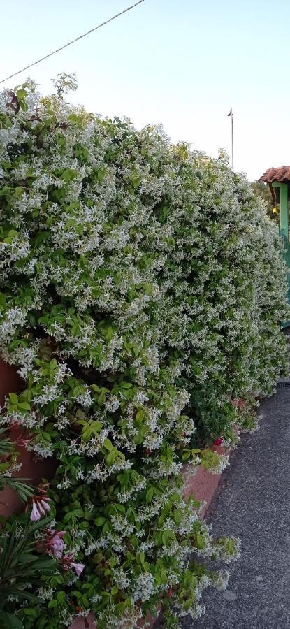 Casa Vacanze Mimose Палинуро Екстериор снимка